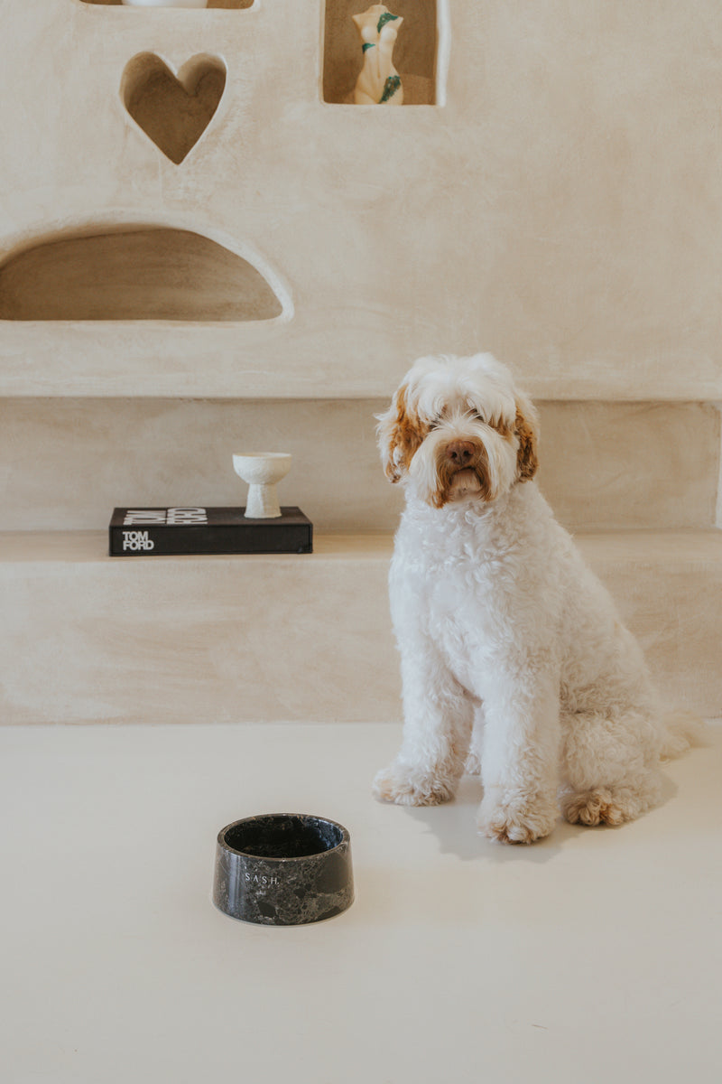 Marble dog bowl outlet stand