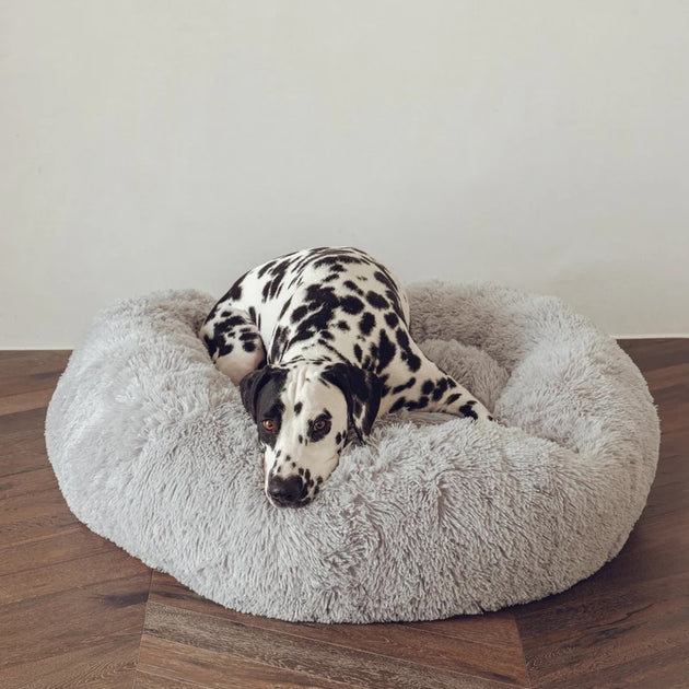 Dog Beds Sashbeds