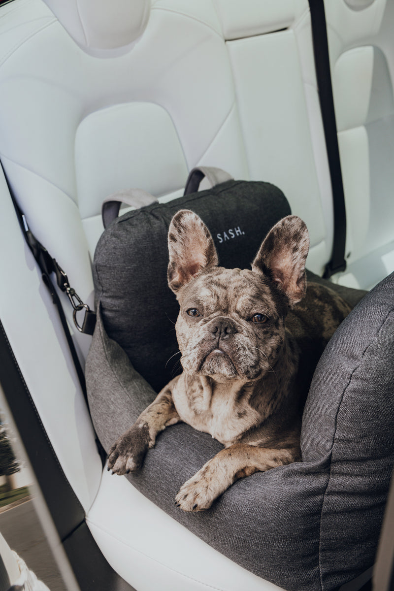 Best dog outlet bed for car