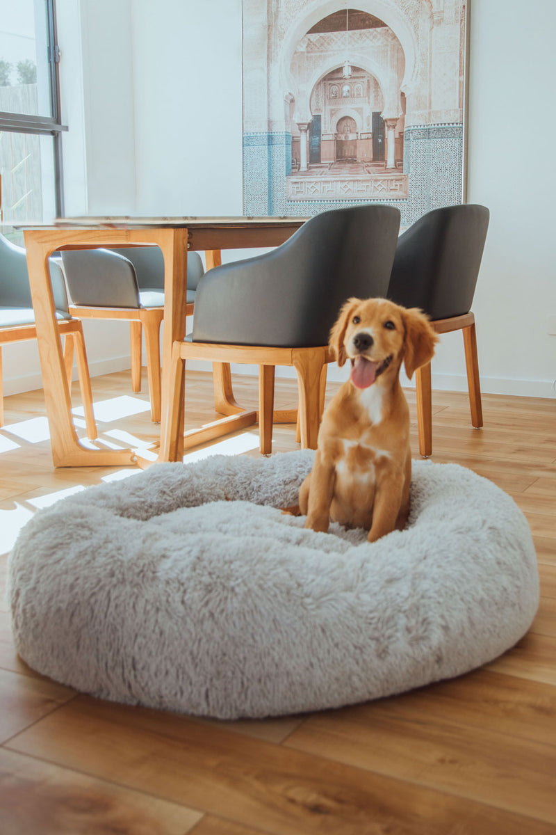 Calming Dog Bed Sashbeds