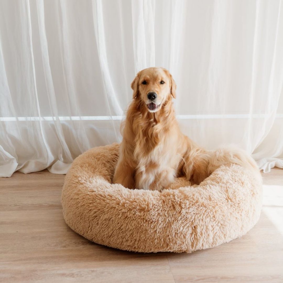 Dog bed calming hotsell