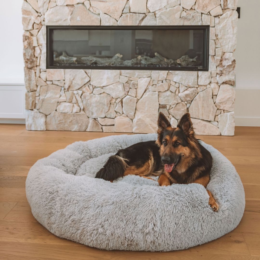 Abby space calming dog bed hotsell