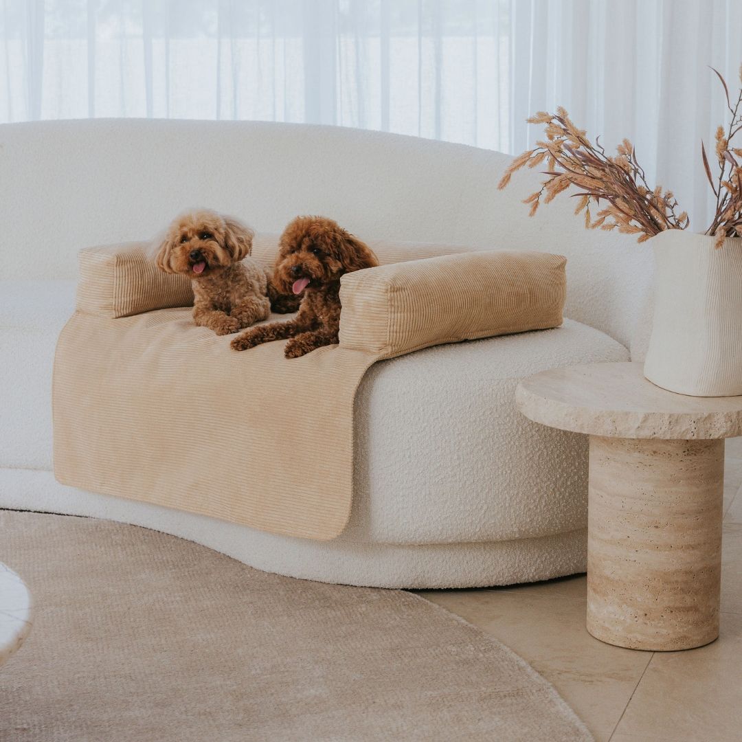 Deluxe Dog Couch Bed