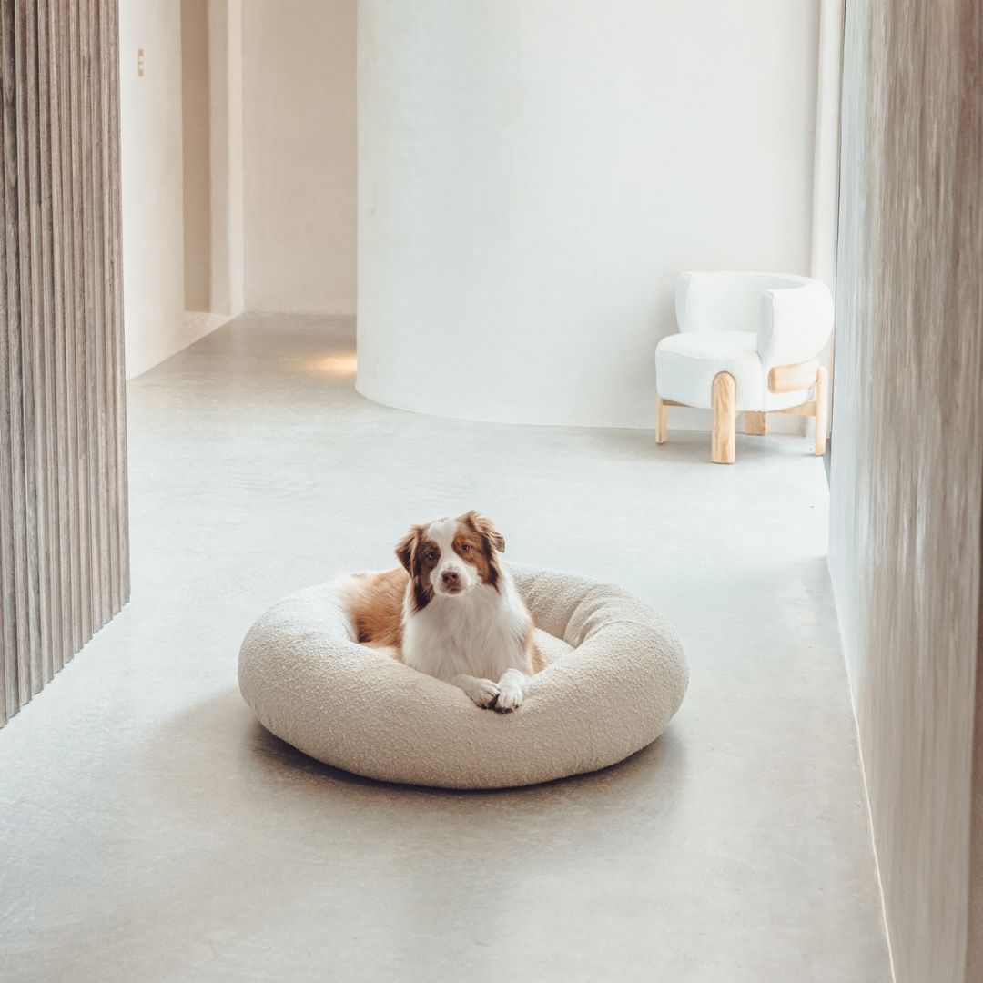 Luxury Boucle Dog Bed