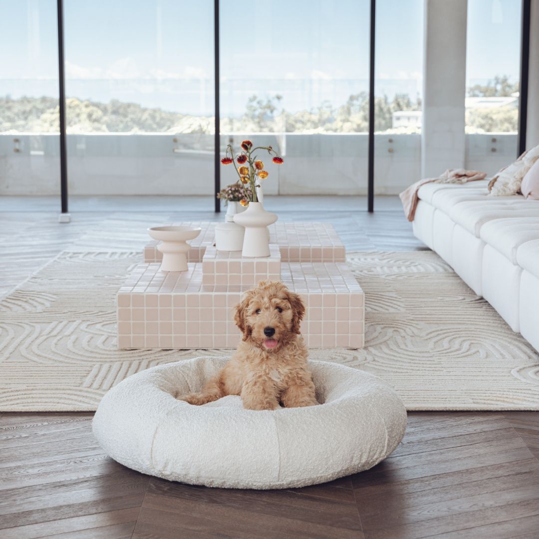 Luxury donut dog beds best sale