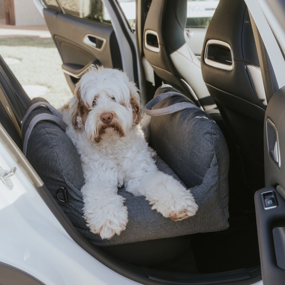 Premium Dog Car Bed Sashbeds