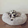 Calming Dog Bed