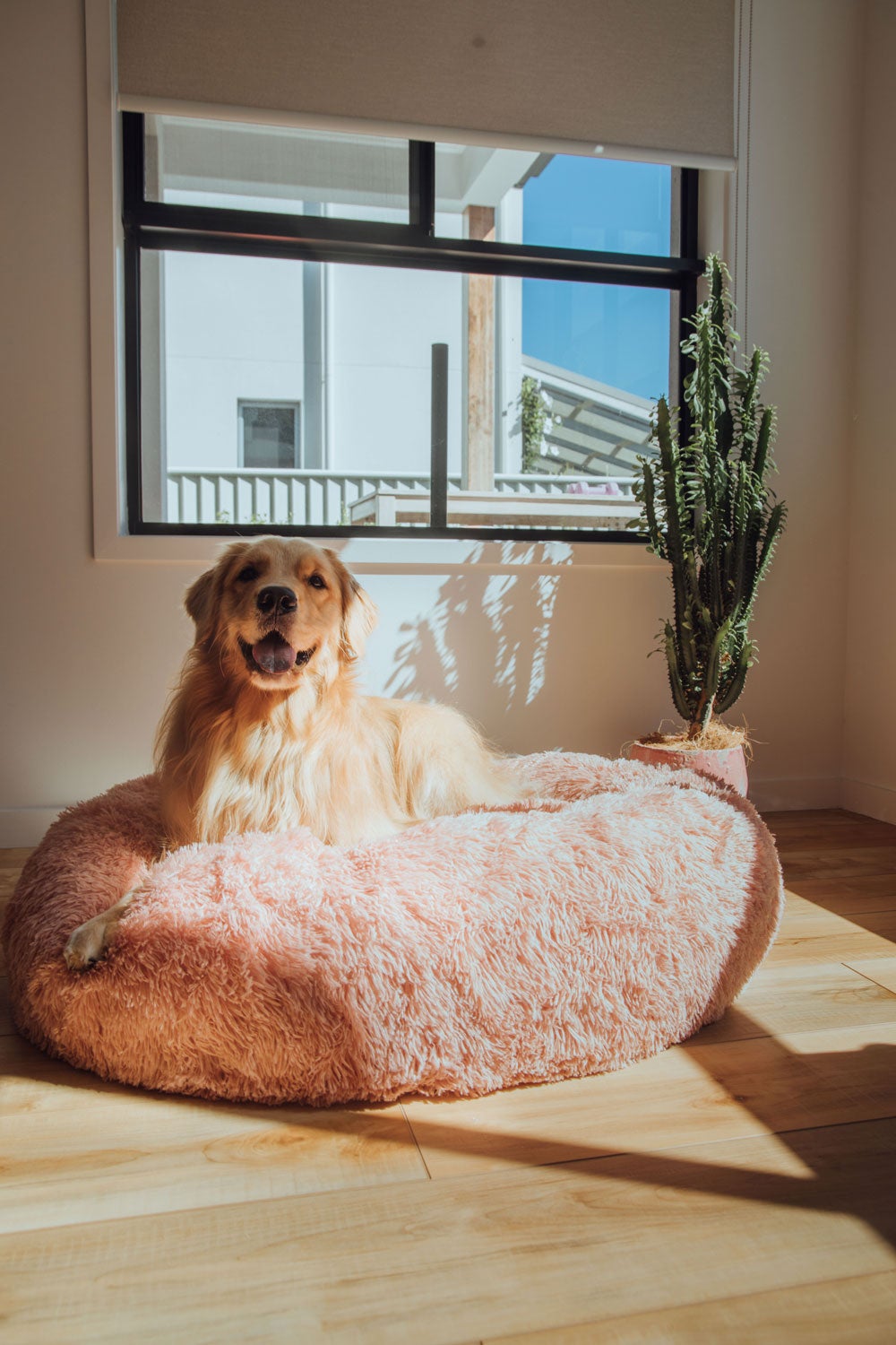 Abby space calming dog bed best sale