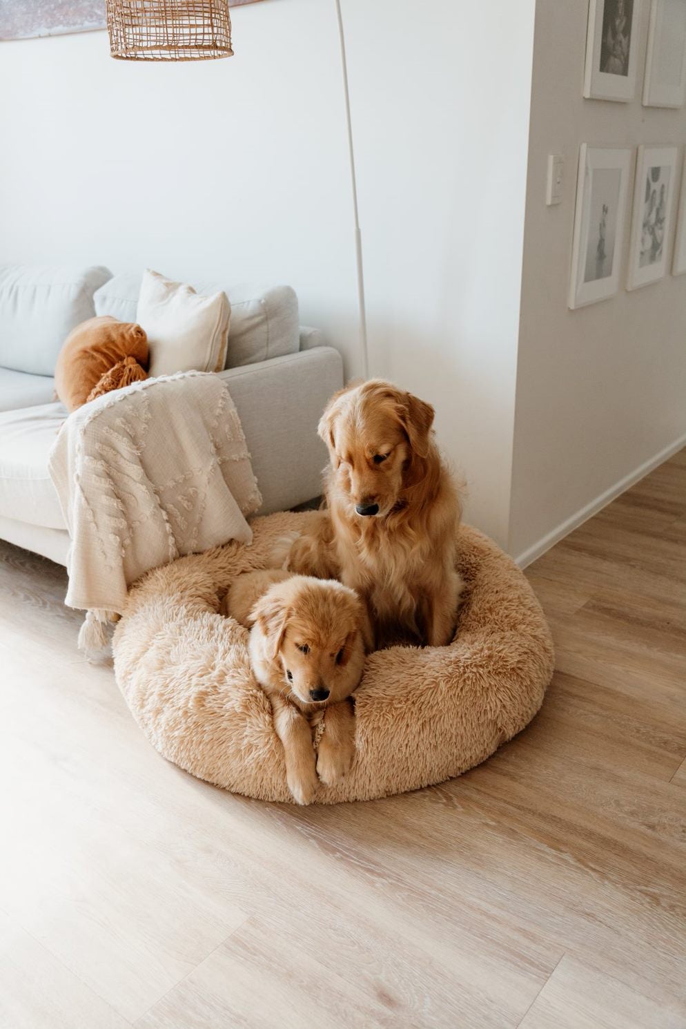 Calming Dog Bed Covers Add on Sashbeds