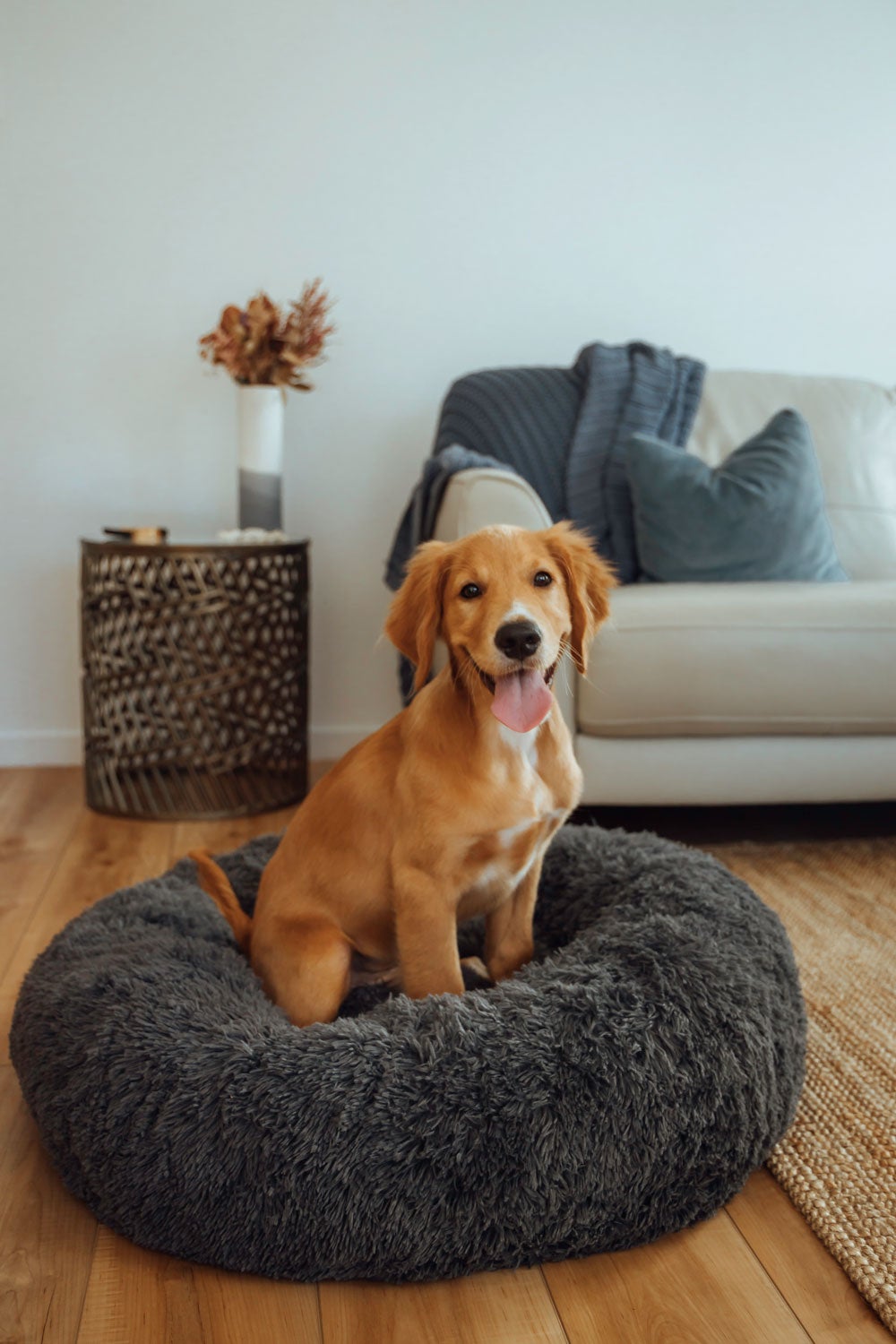 Calming Dog Bed Covers Add on Sashbeds